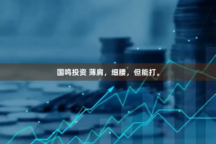 国鸣投资 薄肩，细腰，但能打。