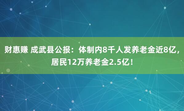 财惠赚 成武县公报：体制内8千人发养老金近8亿，居民12万养老金2.5亿！