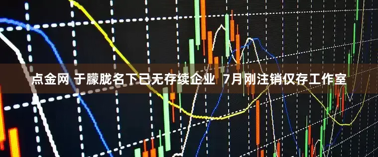 点金网 于朦胧名下已无存续企业  7月刚注销仅存工作室