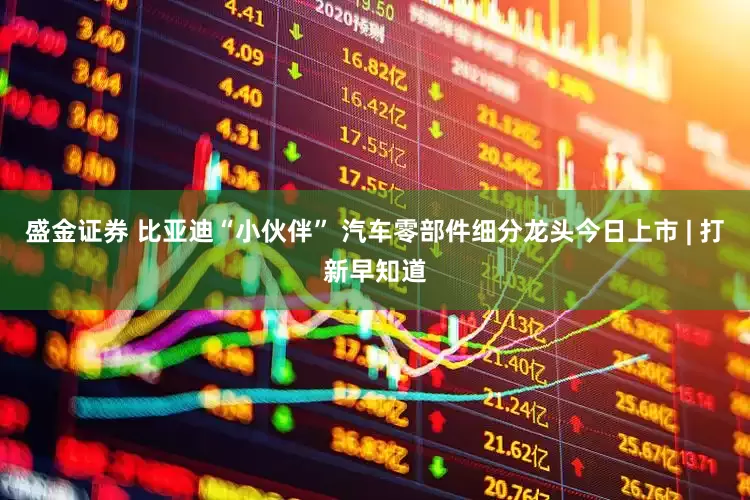 盛金证券 比亚迪“小伙伴” 汽车零部件细分龙头今日上市 | 打新早知道