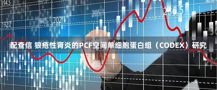 配查信 狼疮性肾炎的PCF空间单细胞蛋白组(CODEX)研究