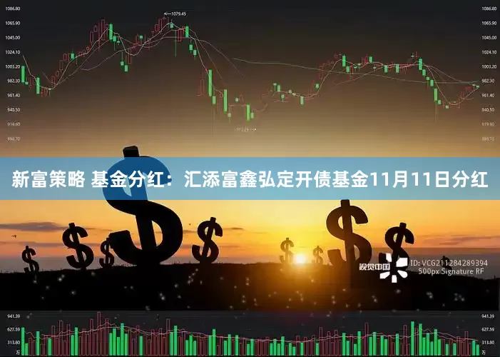 新富策略 基金分红:汇添富鑫弘定开债基金11月11日分红