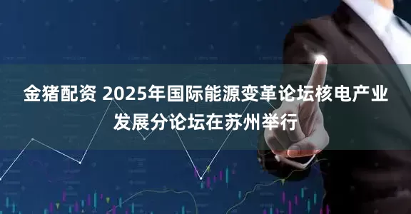 金猪配资 2025年国际能源变革论坛核电产业发展分论坛在苏州举行