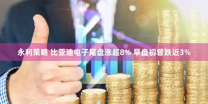 永利策略 比亚迪电子尾盘涨超8% 早盘初曾跌近3%