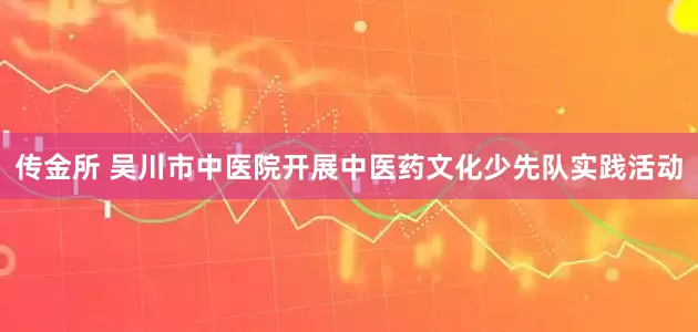传金所 吴川市中医院开展中医药文化少先队实践活动